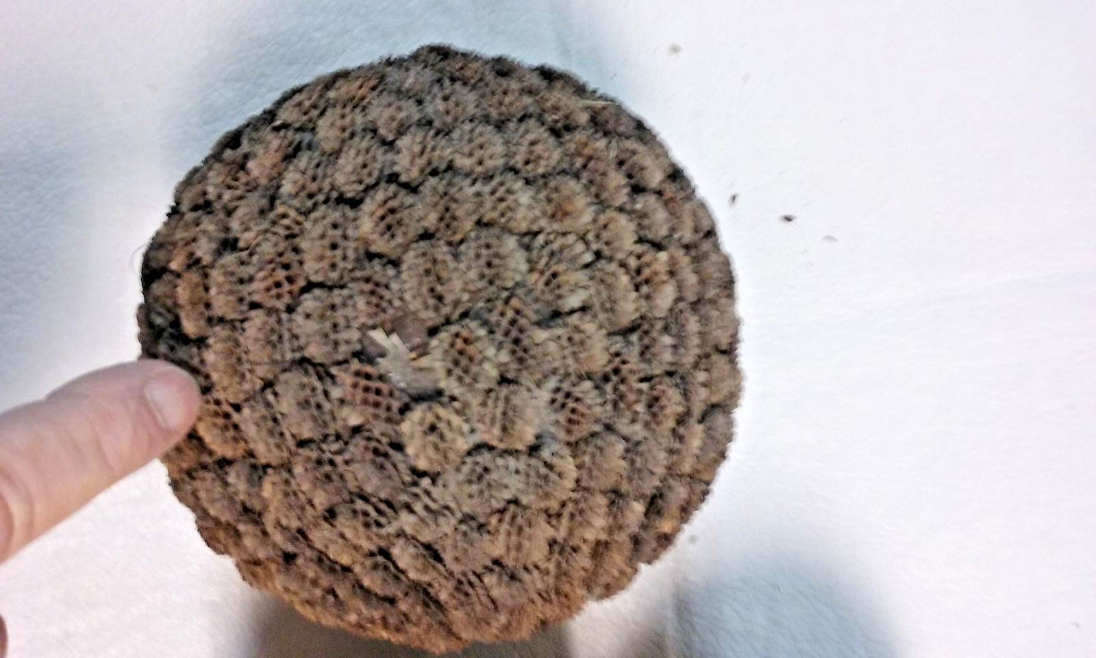 3 Brown Seed Pod Mosaic Decorative Ball Ornaments 5″ to 6″ & 4″ to 5″ wide