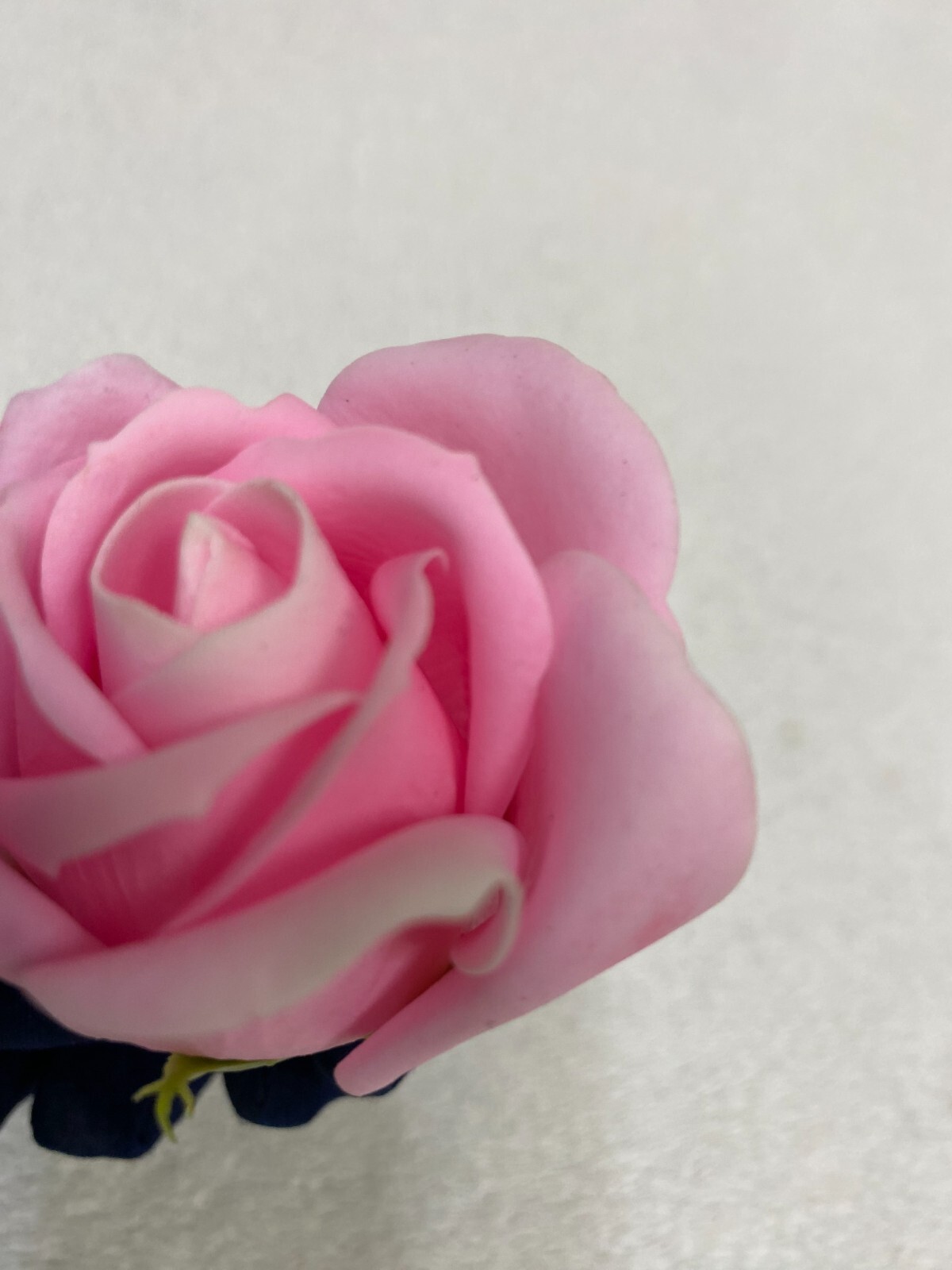 wax roses décor gifts pink baby-rose violet white yellow golden silver red