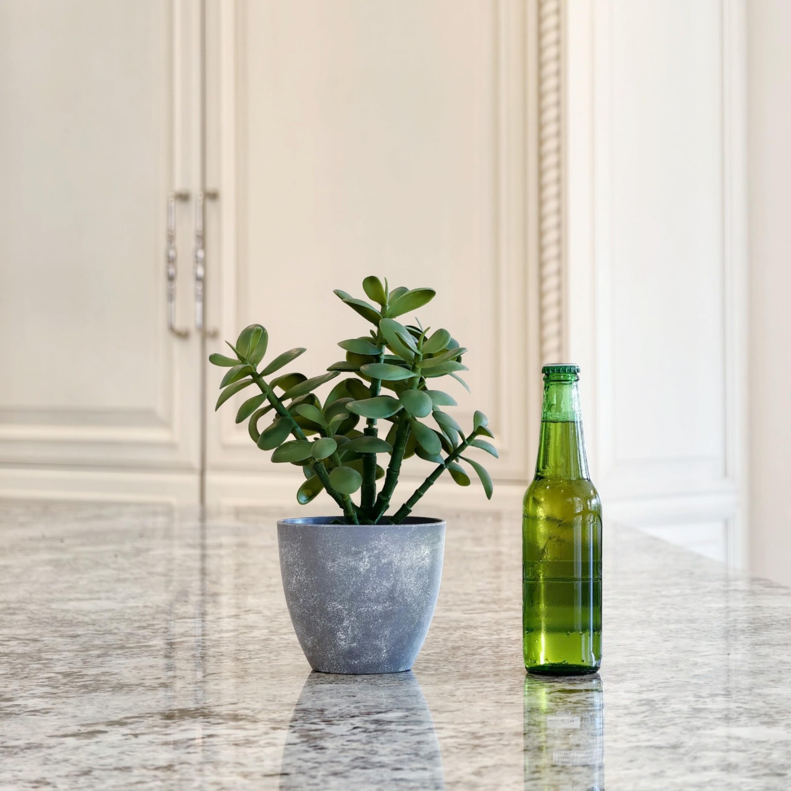 365 Blooming Decor 12” Artificial Jade Plant in Minimalist Gray Pot, Luxury R…
