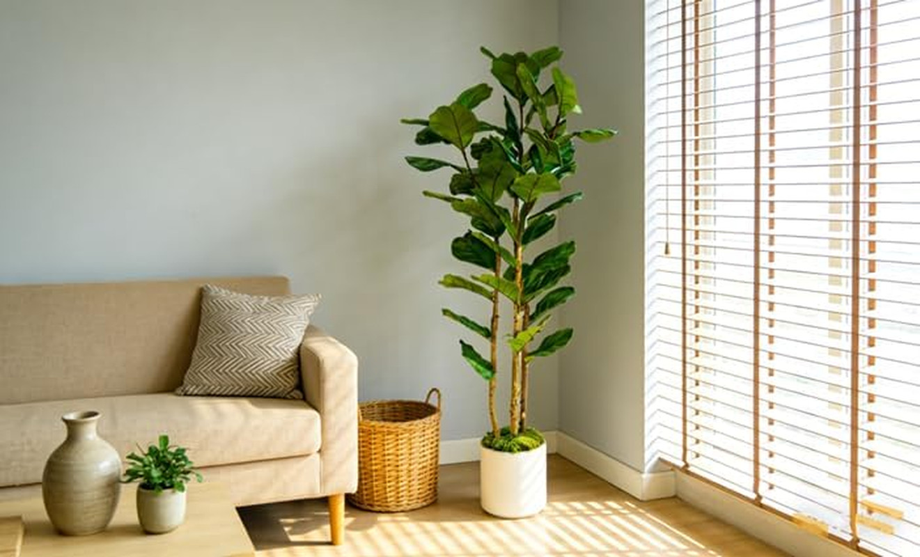 6FT Artificial Fiddle Leaf Fig Tree with White Planter – Faux Indoor Plant