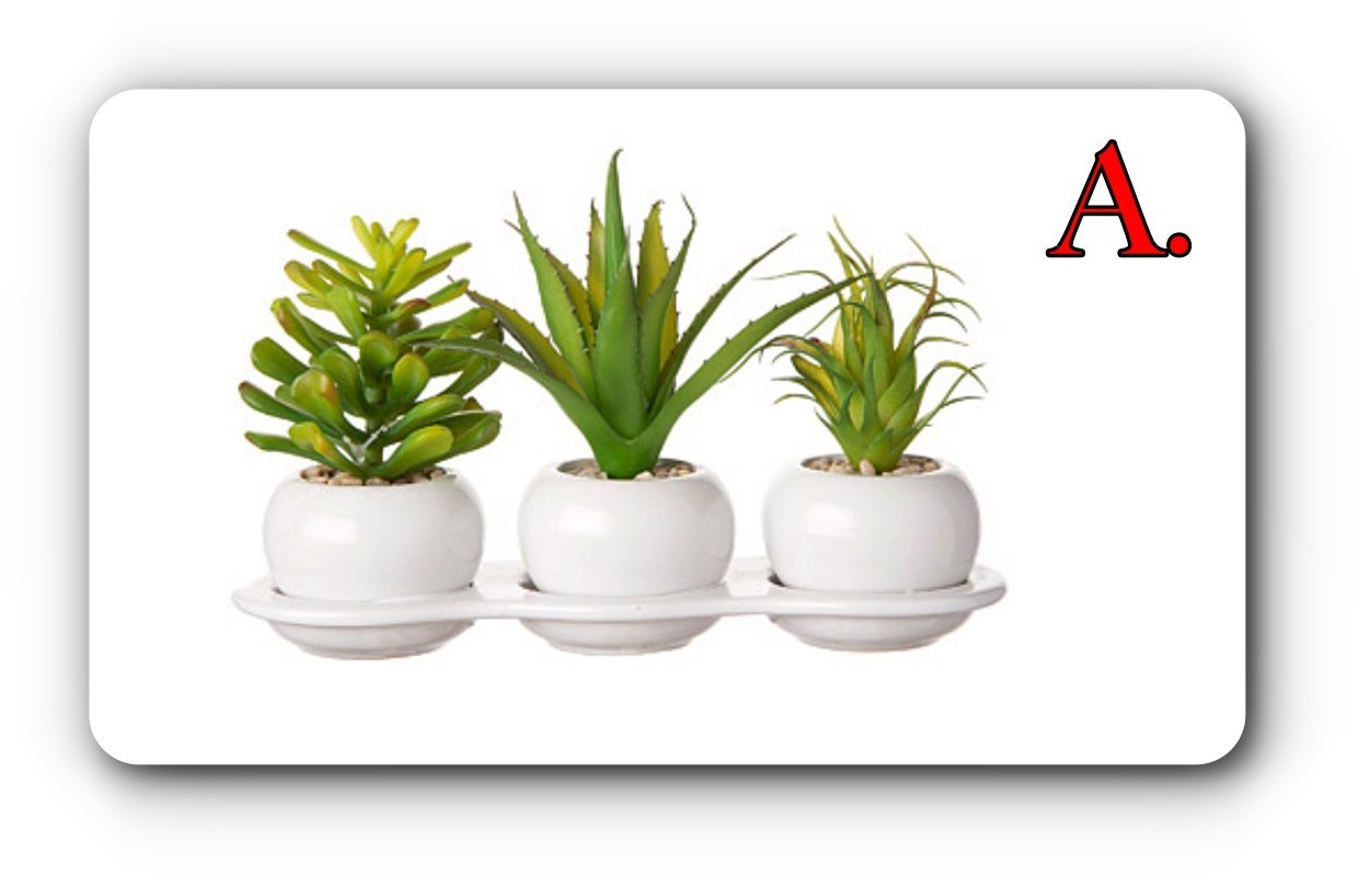 3 PRETTY FAUX Potted SUCCULENTS on Permanent TRAY WINDOW SILL Small HOME DECOR