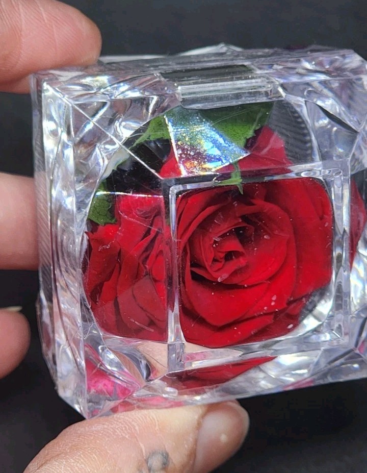 preserved Real red rose W Leaf In clear diamond shaped acrylic Ring box