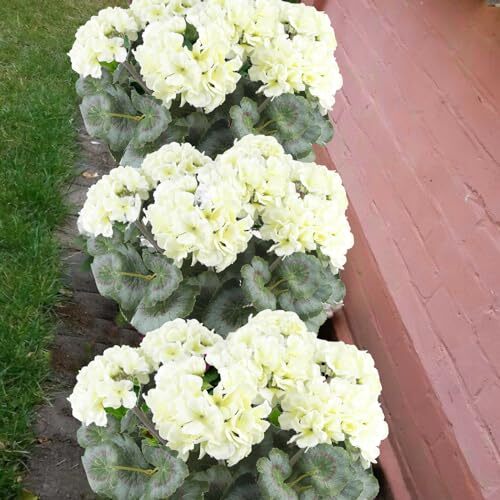 Artificial Geraniums Flowers for Outdoors Silk Geraniums Bushes UV Resistant …