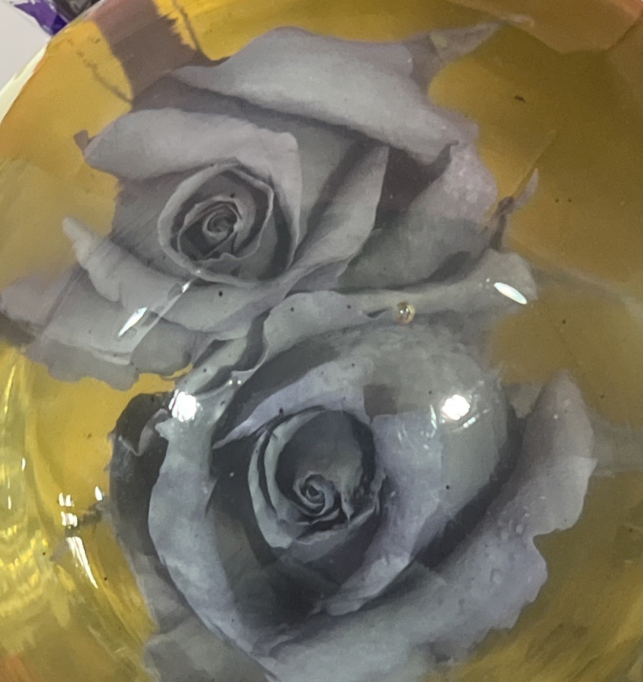 Vtg. Purple Eternal Rose Real Preserved Rose Ball In Water Dome/Globe; Lg 6”-7”