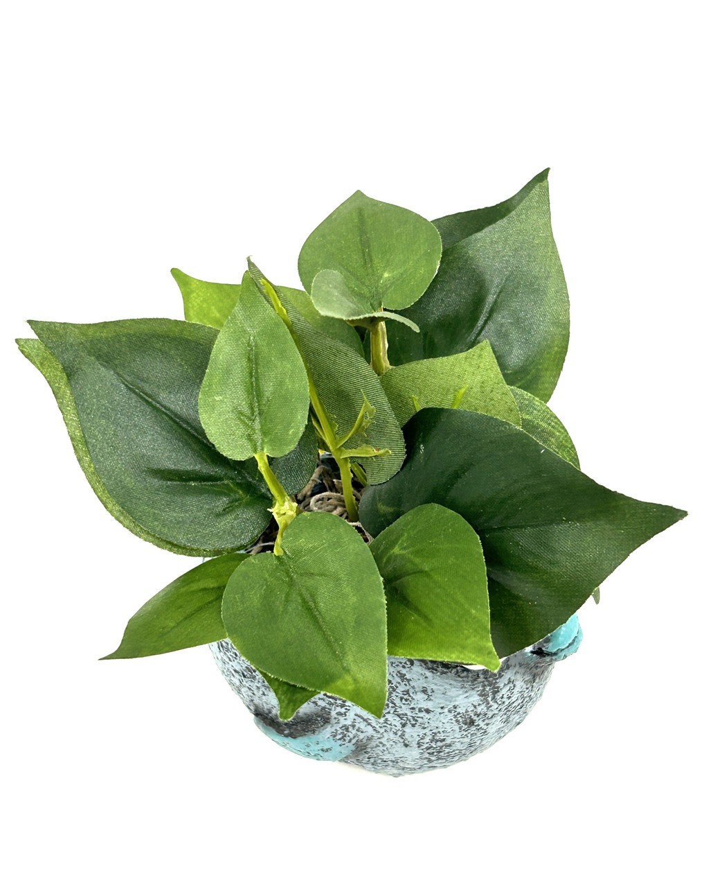 5″ Potted BUBBLES Blue FISH Blob House Mini pot with silk Green Pothos as shown