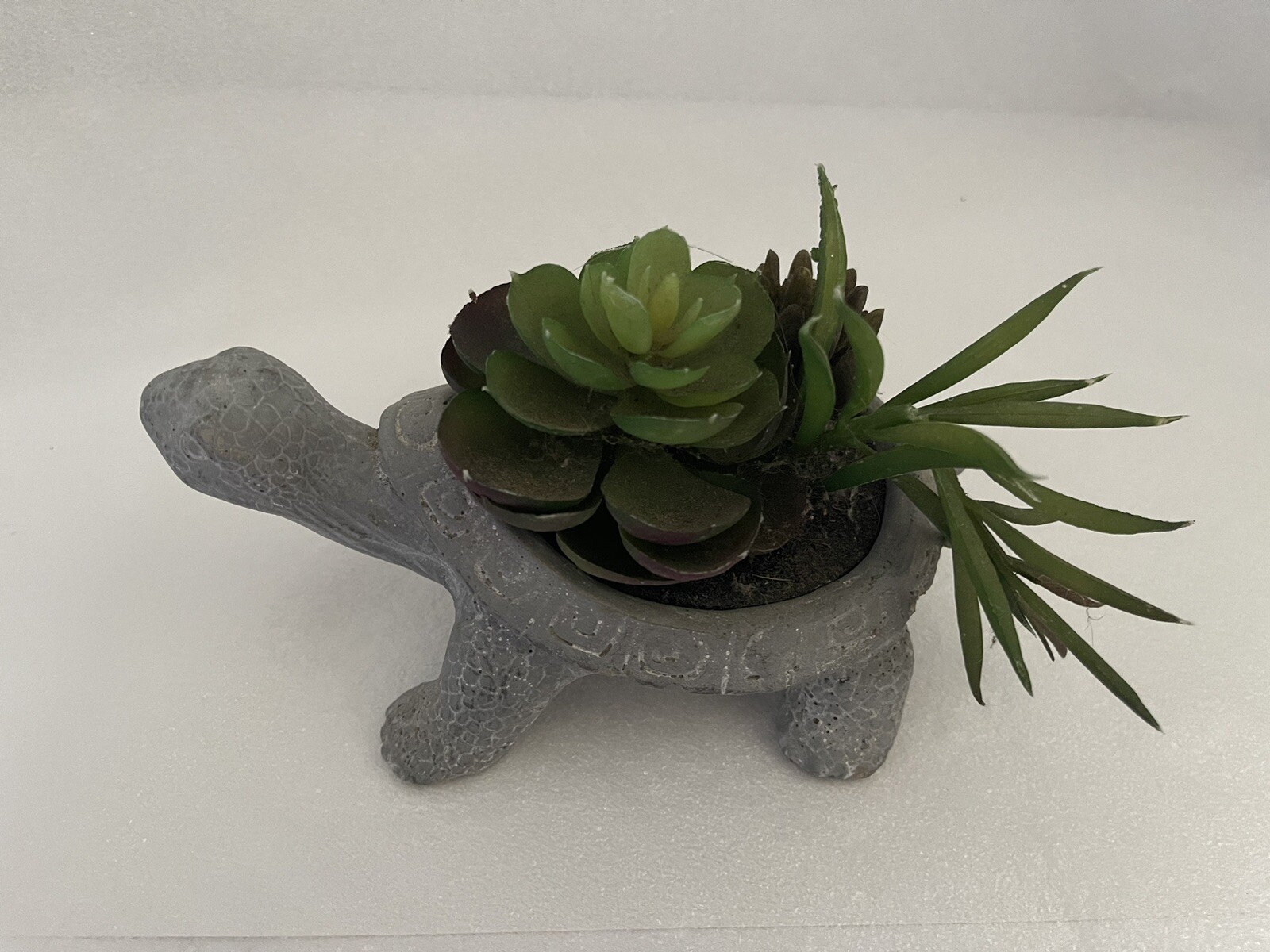 Carved Stone Turtle Potted With Faux Succulent Plants Garden Home Decor Swirls