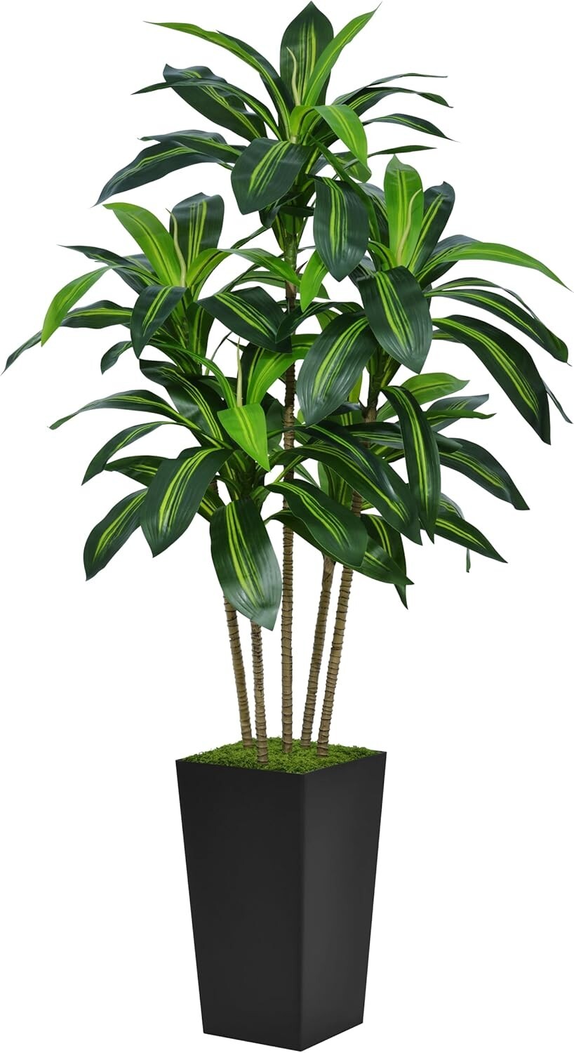 Lifelike 5FT Artificial Dracaena Tree – Perfect for Housewarming & Anniversaries