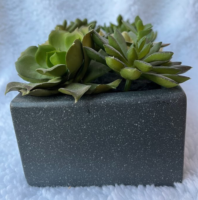 CRATE & BARREL ~ FAUX SUCCULENT ARRANGEMENT IN GRAY CERAMIC PLANTER ~ 12″x5″x3″