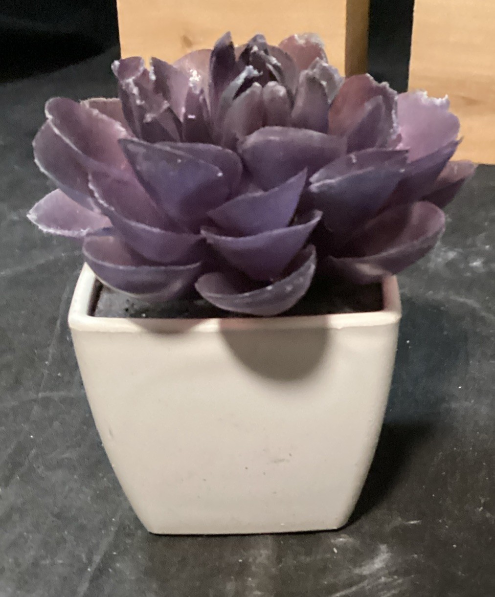 Decorative Fake Potted Succulents. New and Gently Used lot of 10 (F2)