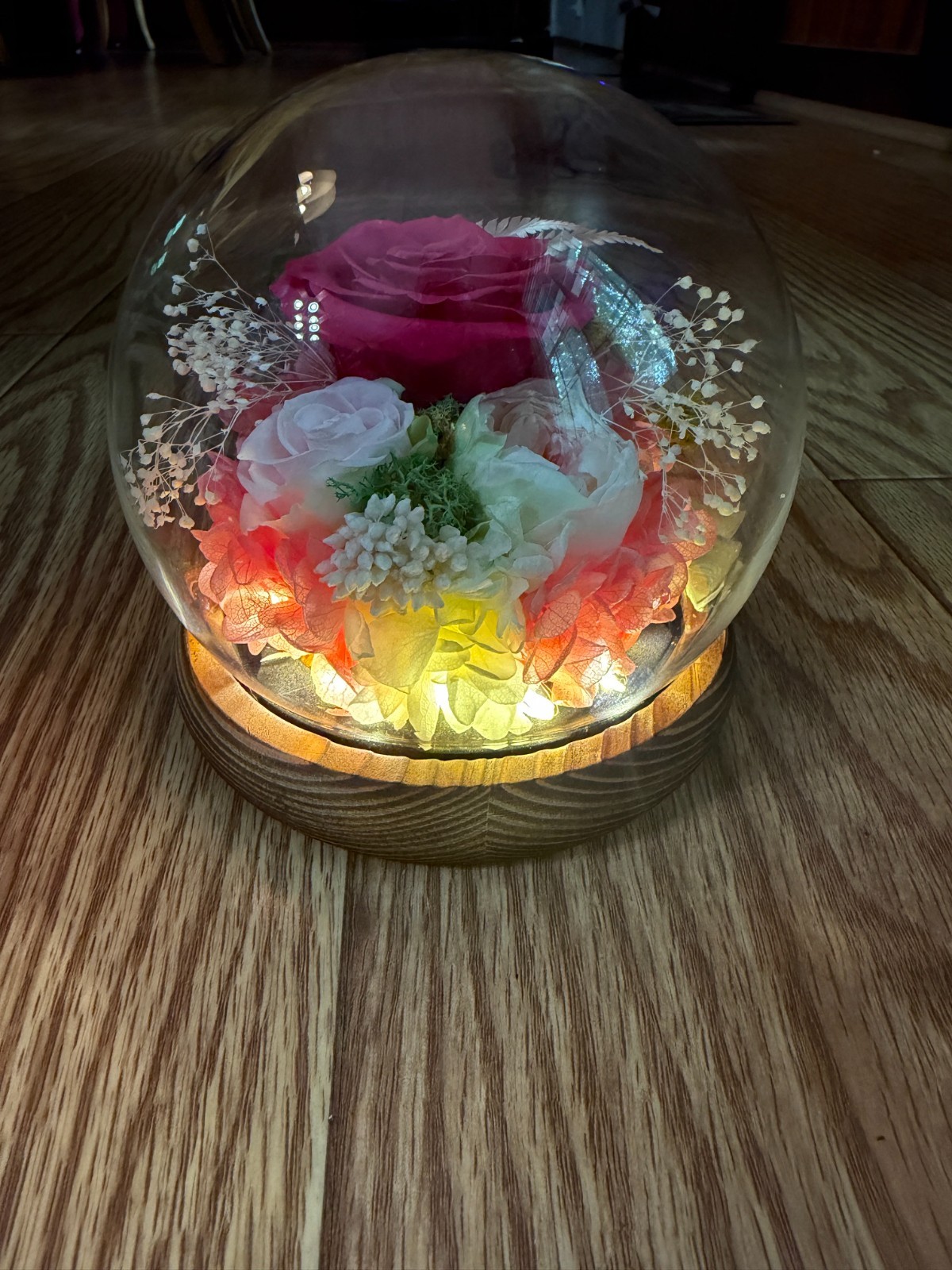 PRESERVED PINK AND RED ROSES IN A LED GLASS LIT DOME W/ORGINAL BOX
