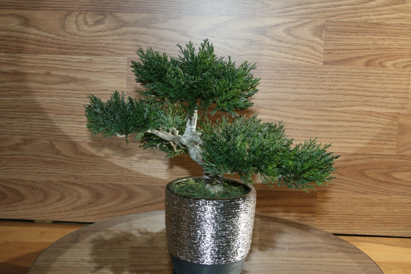 Bonsai Faux Japanese Pine Fake Tree 10x12x6″ Never Dies Cool Home Decor