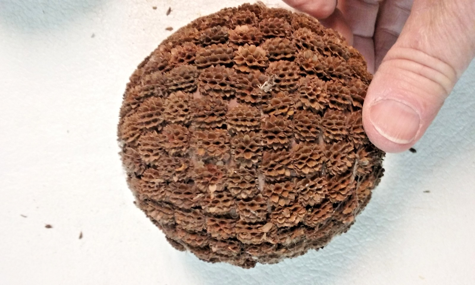 3 Brown Seed Pod Mosaic Decorative Ball Ornaments 5″ to 6″ & 4″ to 5″ wide