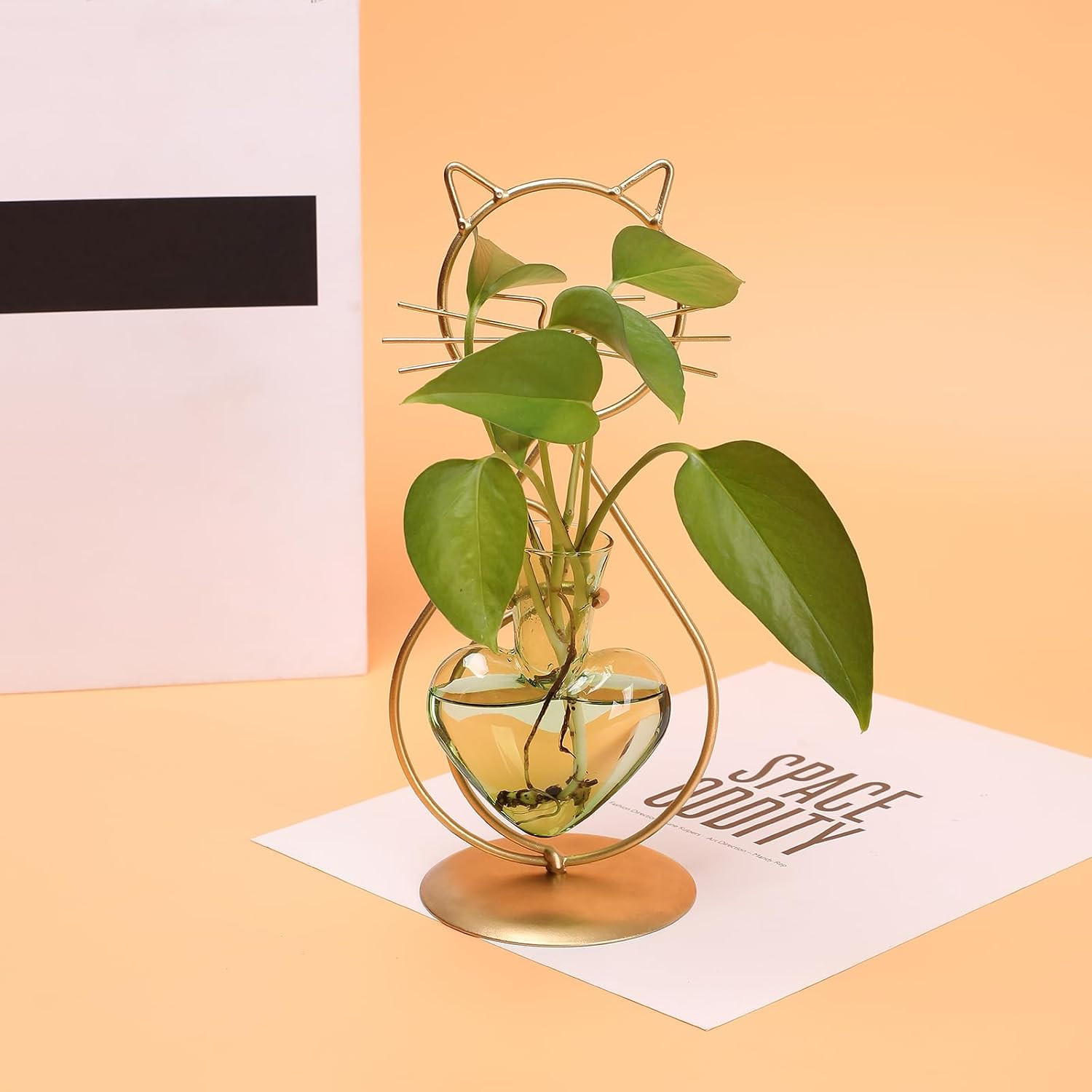 Plant Terrarium Plant Propagation Station Cat Lover Gifts for Women | Plant Love