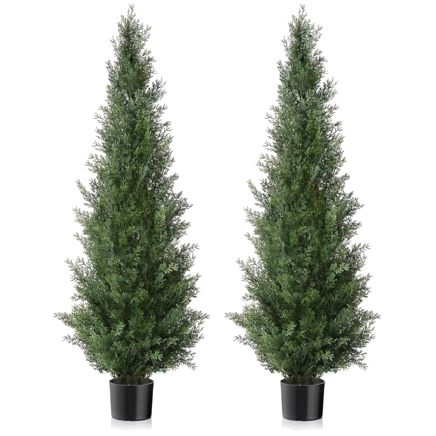 Pair of Pre-Potted Cedar Trees – Front Door & Garden Decor