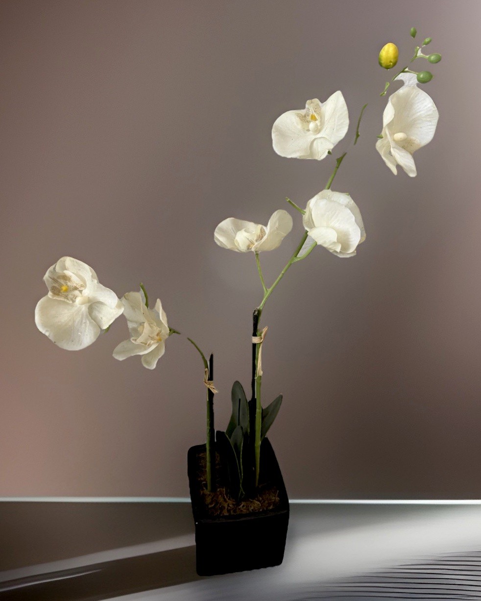 Real Touch White Phalaenopsis Potted Orchid Plant With A Black Ceramic Pot 18”