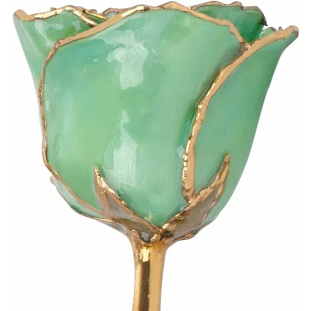 Genuine 24K Gold Green Rose