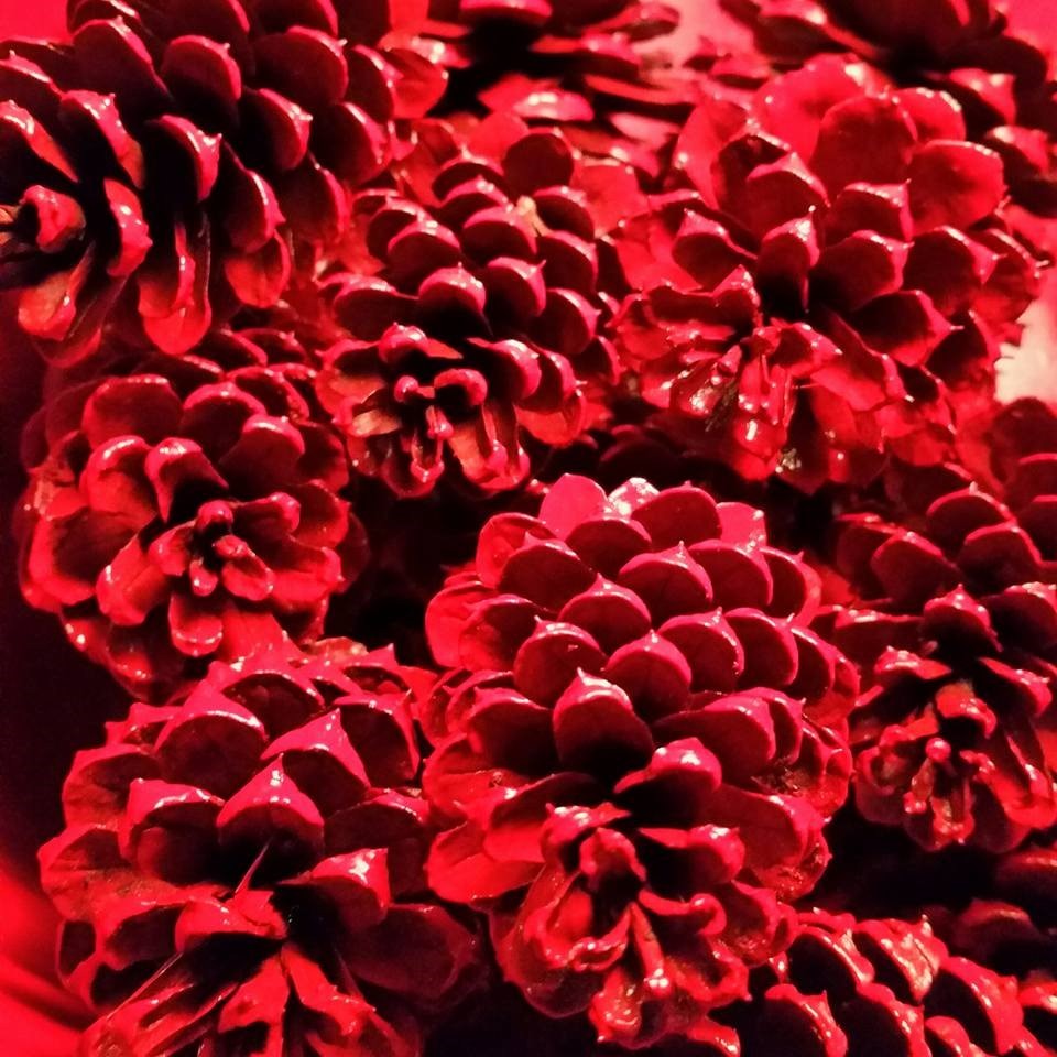 12 Red Pine Cones Hand Painted All Natural Premium Quality Cones One Dozen 