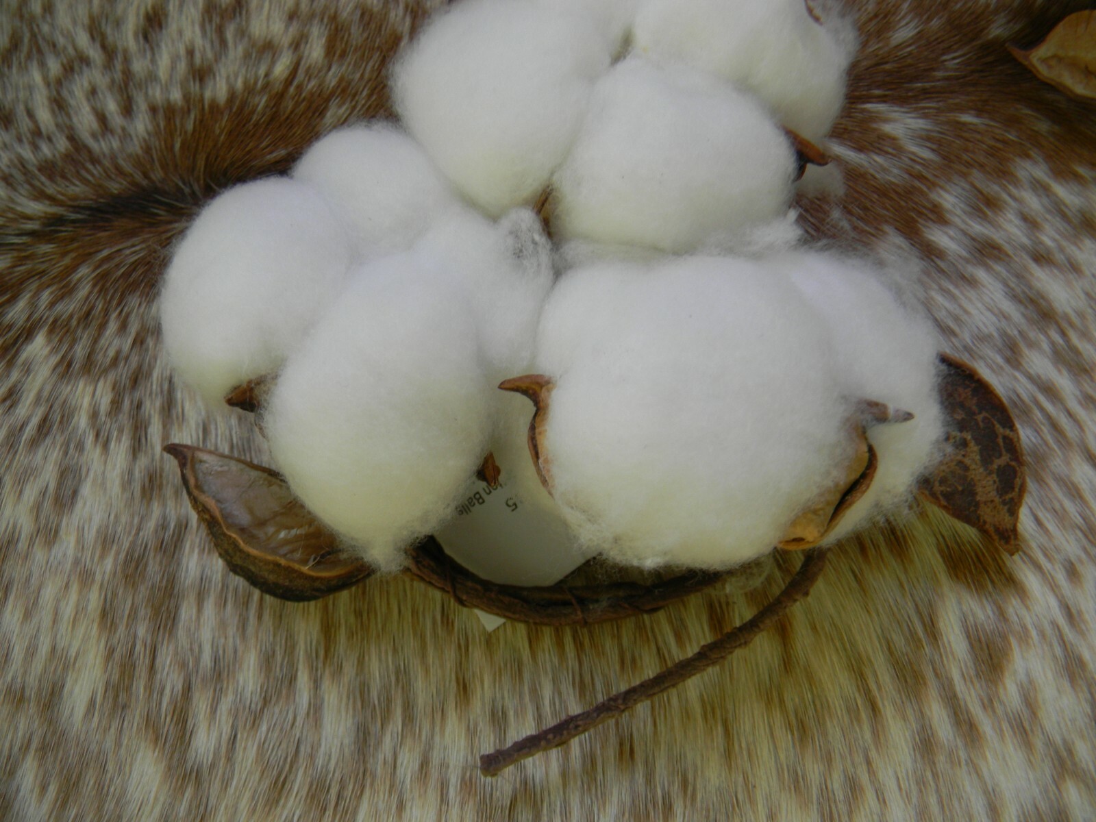 Cotton & Pods PAIR of Candlerings Wreath 3″ Inside Diameter Candlering SALE
