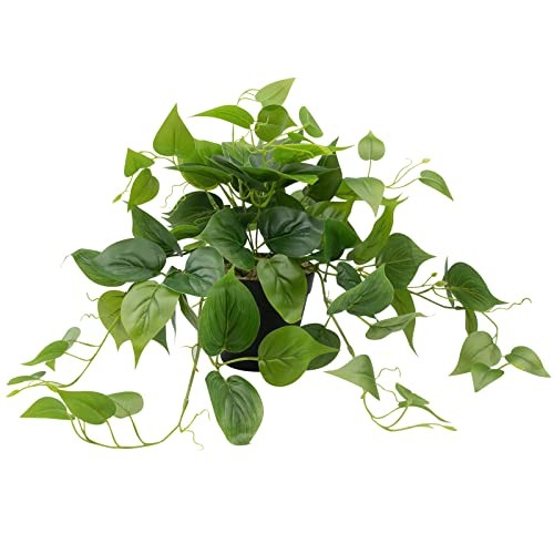 Artificial Scindapsus Aureus Fake Pothos Plants in Black Pots – Pothos a
