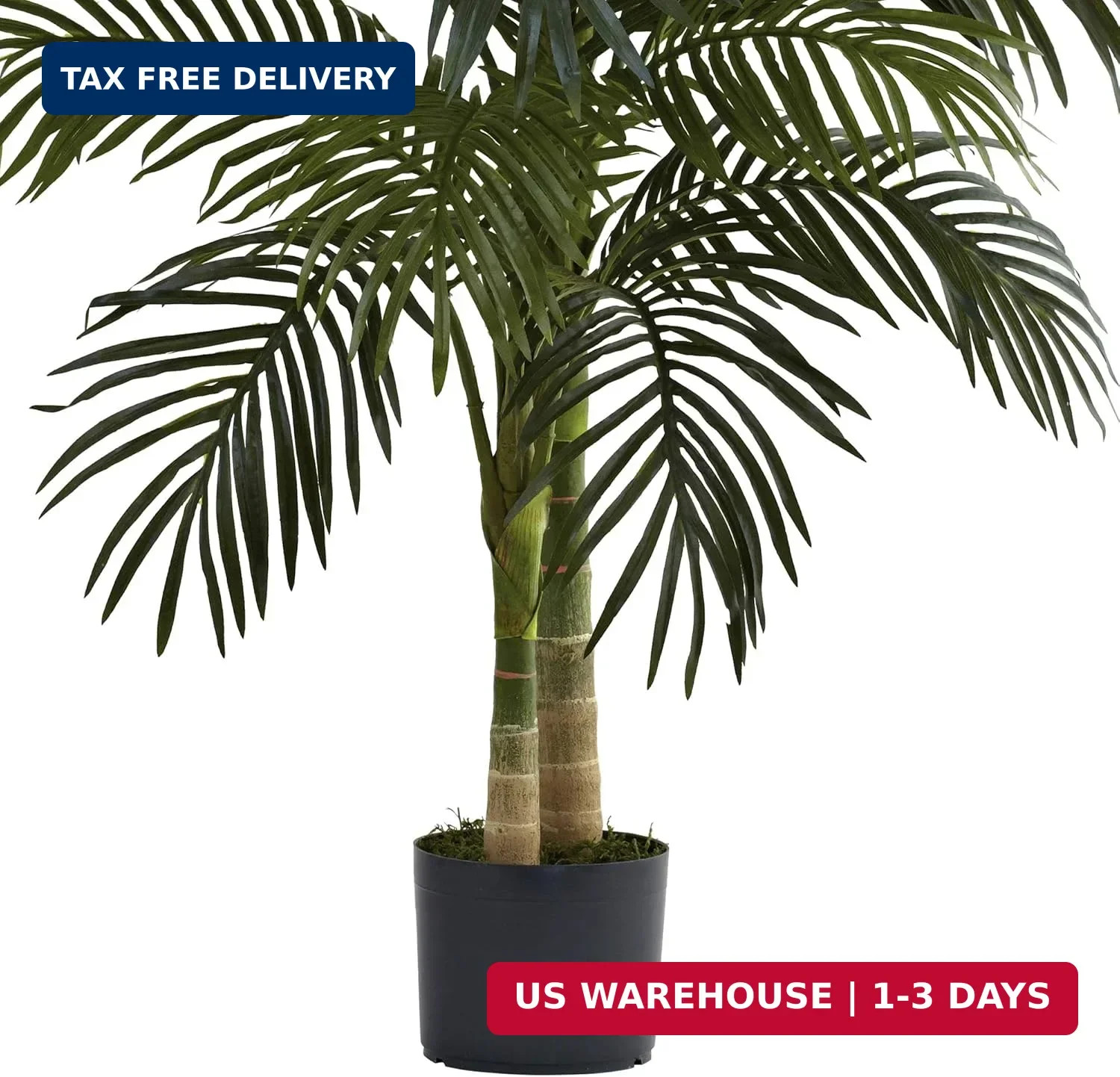 4ft Golden Cane Palm, Double Stalk Artificial Tree With Lush Realistic Foliage M