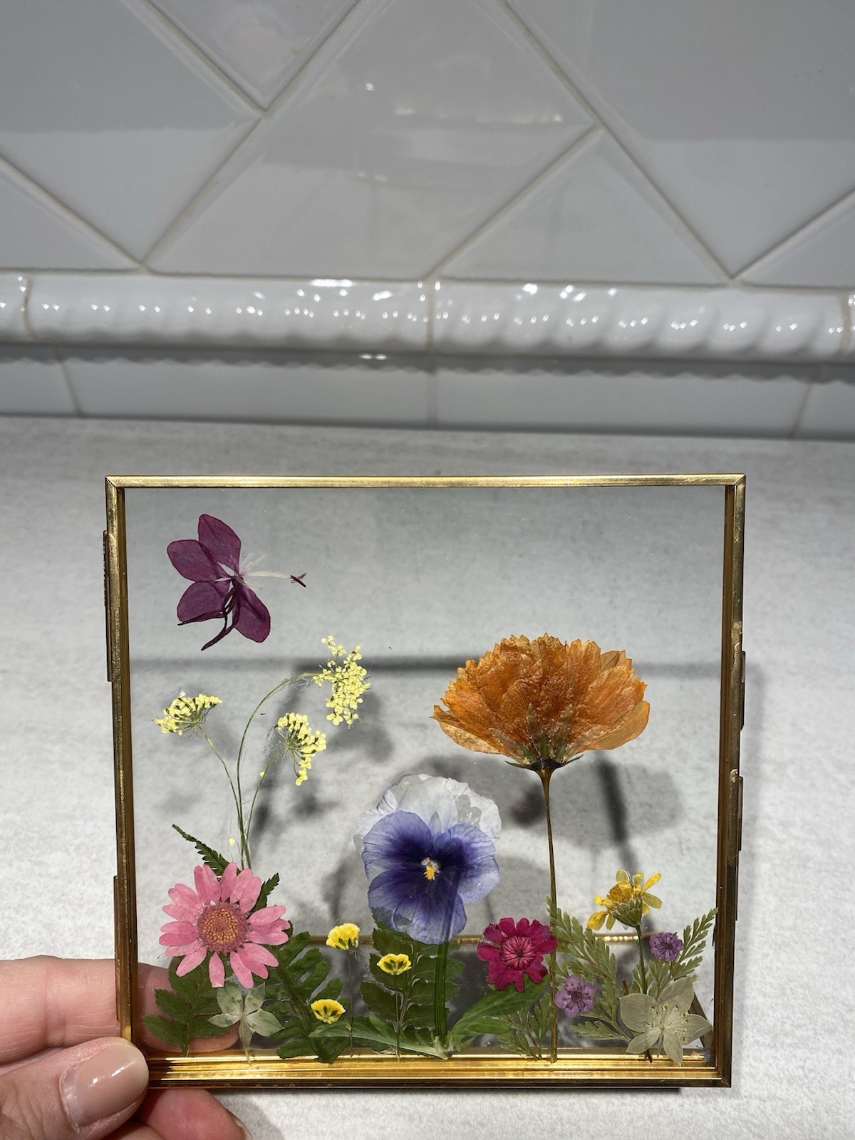 Pressed Dried Real Flowers In Double Glass Floating Brass Frame