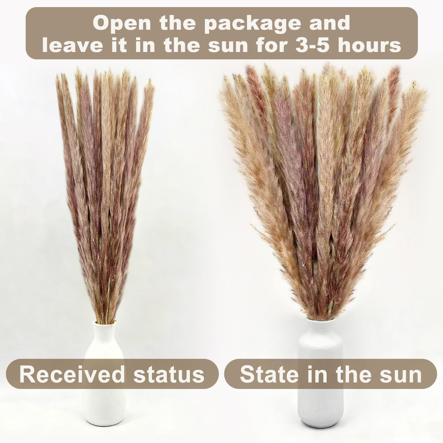 Dried Pampas Grass Decor, 100 Stems Bouquet with Bunny Tails & Reed Grass, Boho