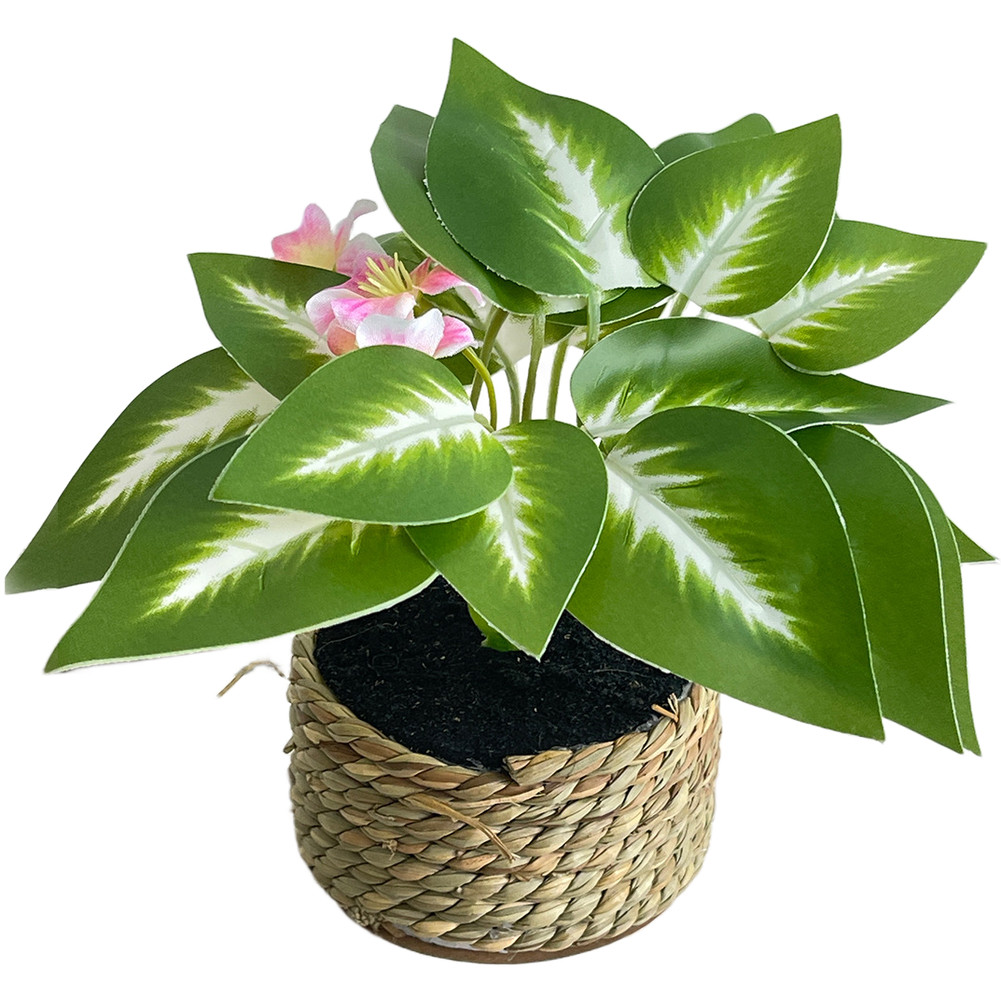 White Flower and Green Leaf Silk Plant in Woven Basket 15 x 15 x 15cm for Desk