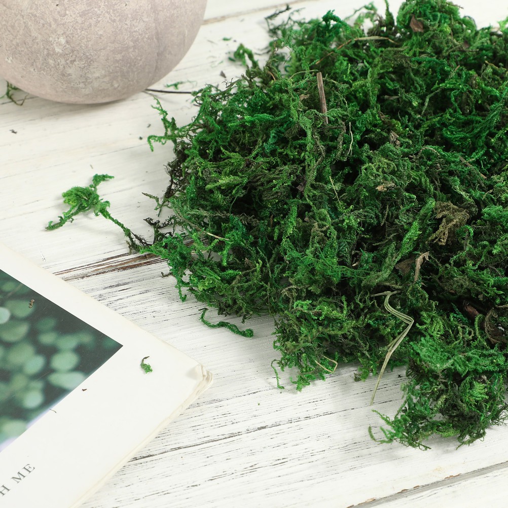 Green Moss Plant Crafts Decorative for Bonsai Artificial Crafting