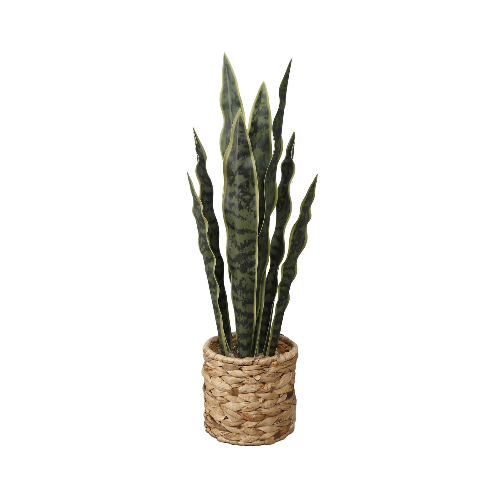 Flora Bunda 24.3″ Artificial Snake Plant in Rattan Basket