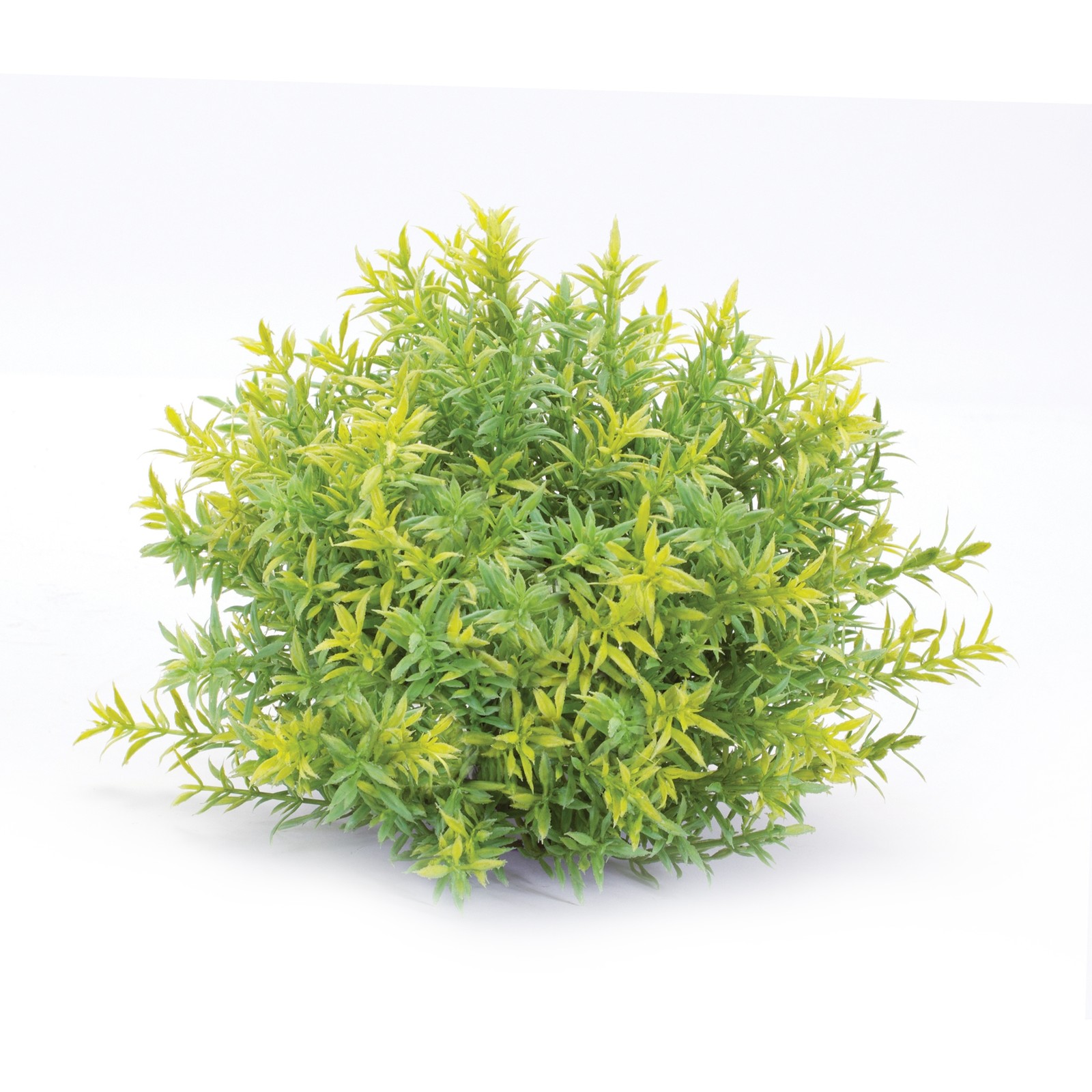 Varigated Mini Leaf Half Orb (Set of 6)