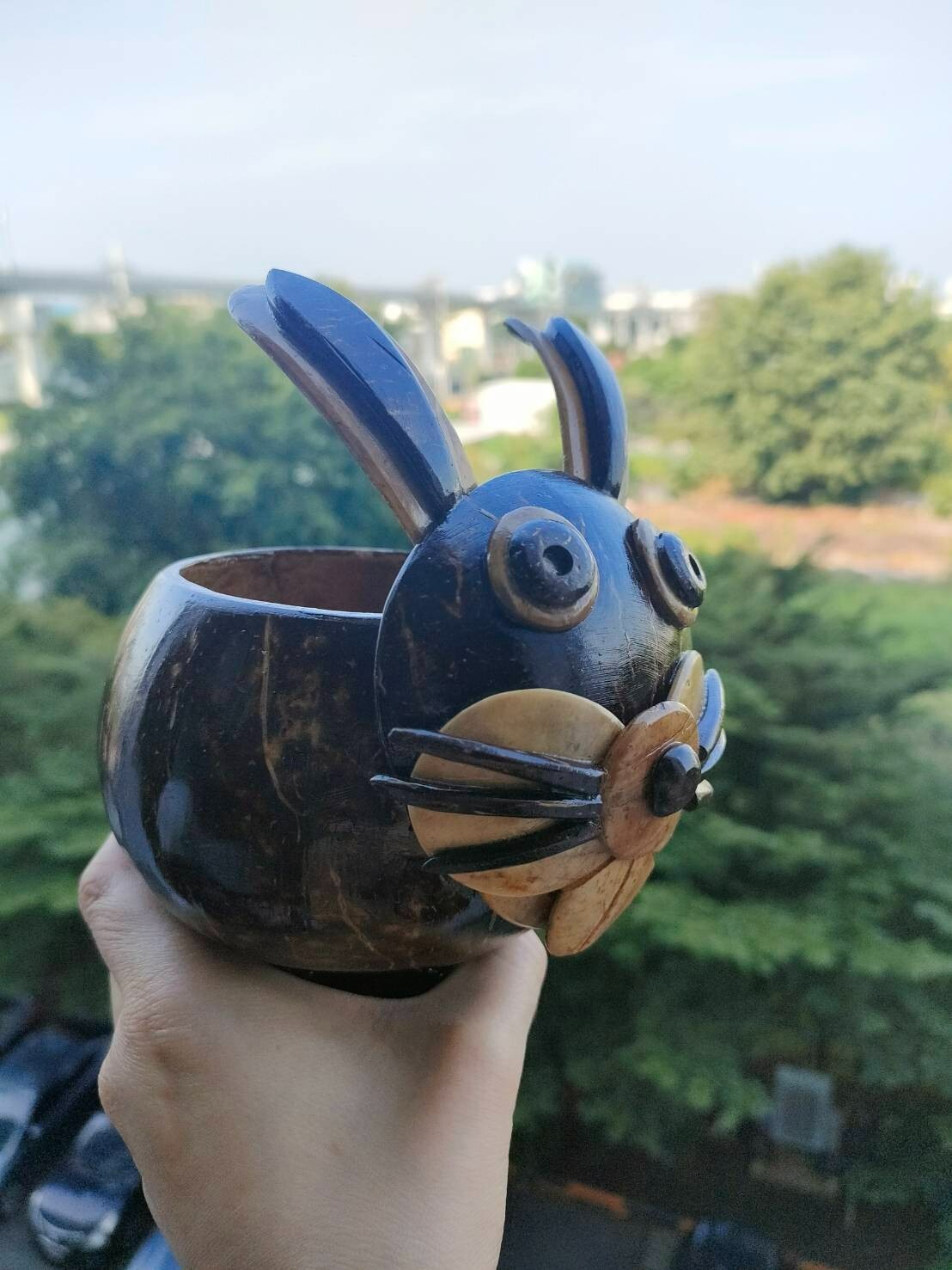 Coconut Shells Rabbits Planting Trees Artificial Things Home Decoration Nature