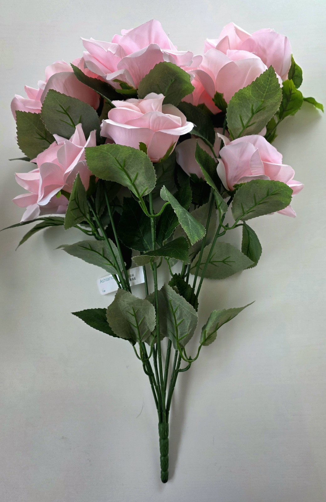 Ashland Rose Bush *Preowned, Gorgeous*