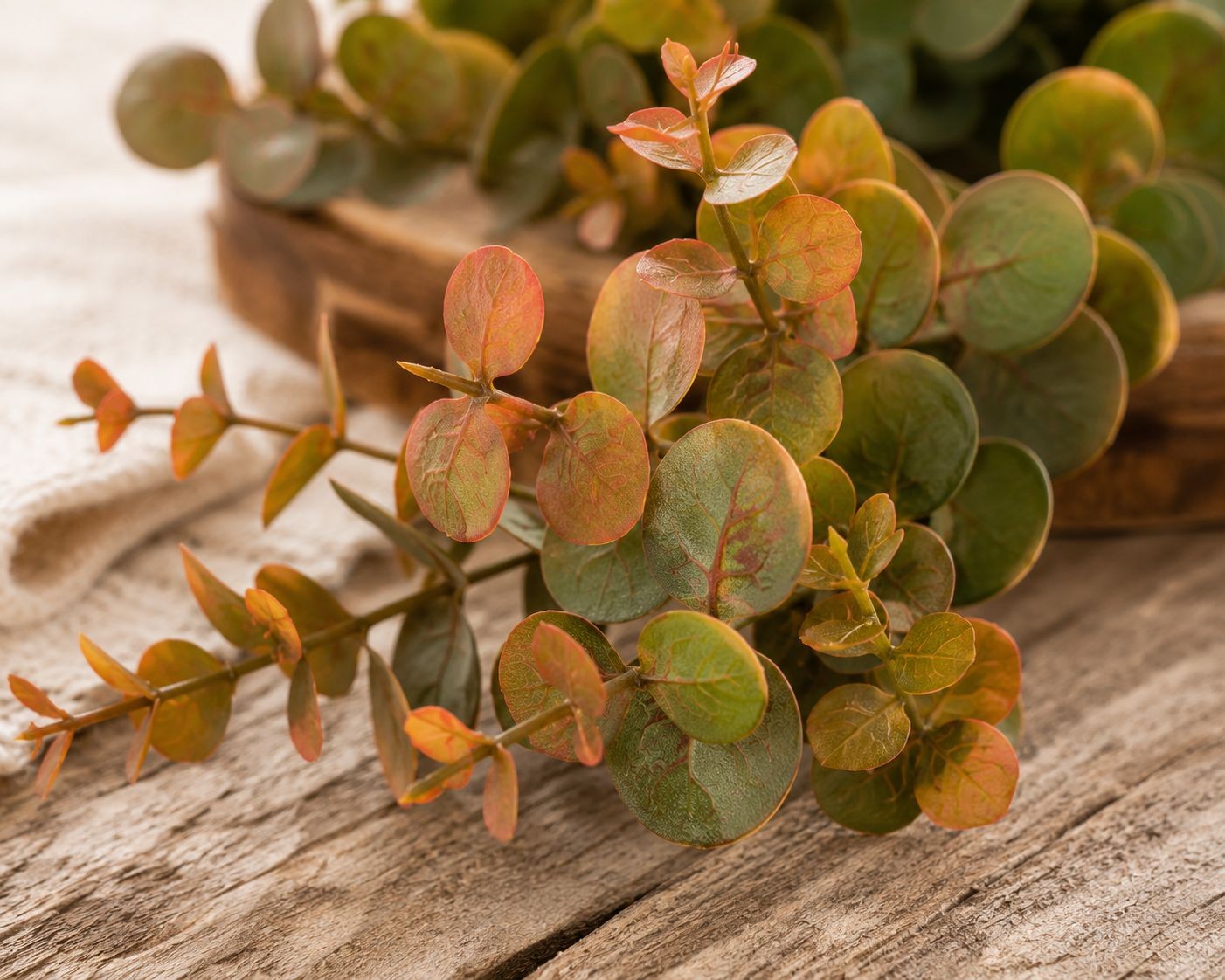 Artificial Eucalyptus Stems Faux Eucalyptus Bundle Fall Greenery Autumn Eucalypt