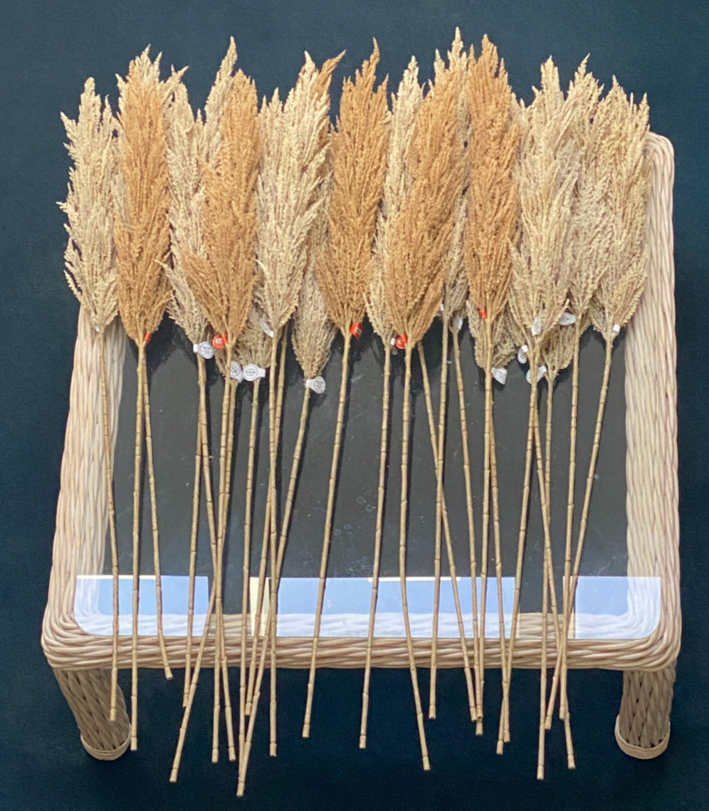Lot of 30 Faux Pampas Grass Stems Hobby Lobby Tan Brown 45″ Bulk Wedding DIY