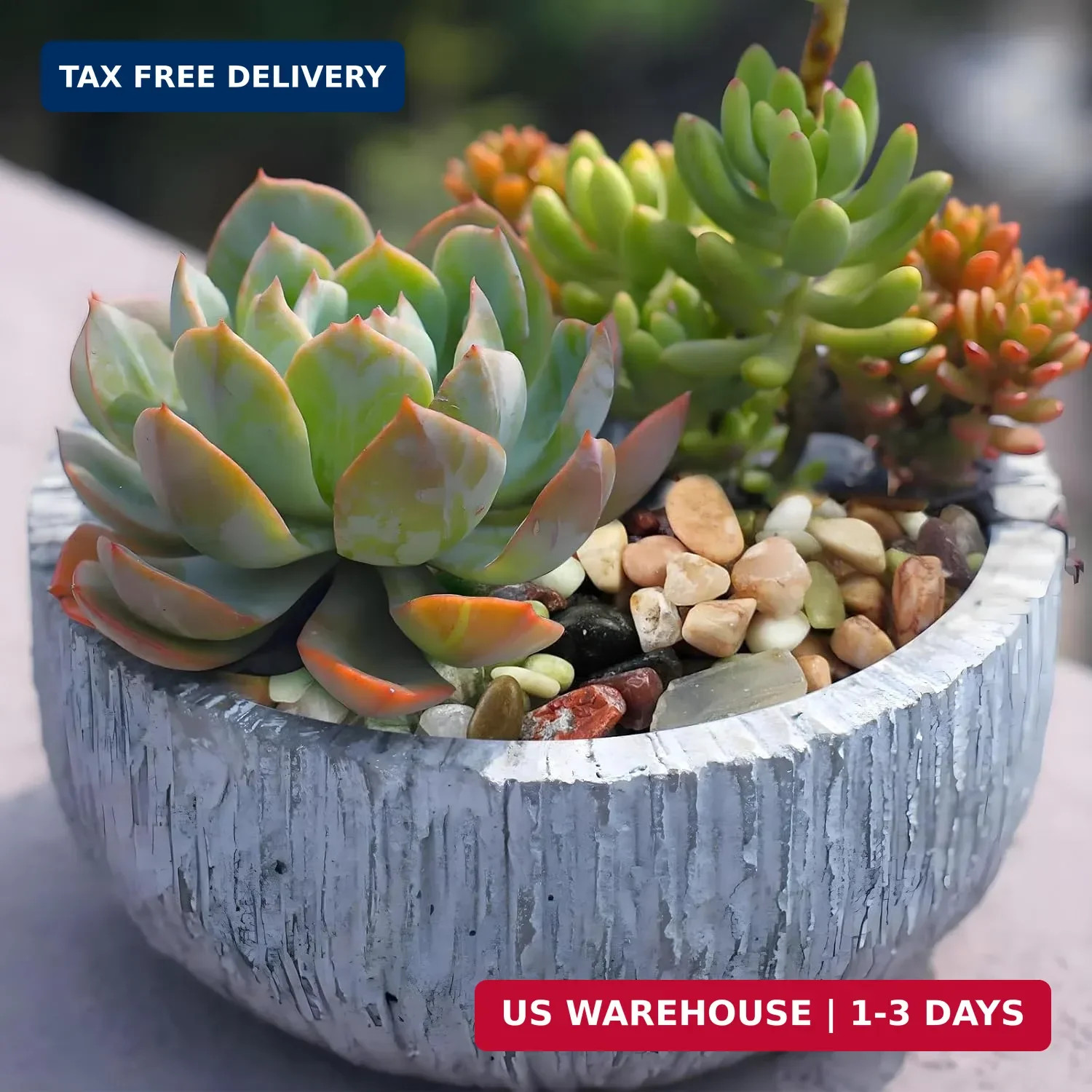 FANTIAN 2 Pounds Pebbles for Plants, 3/8 Inch Succulent Rocks, Decorative Polish