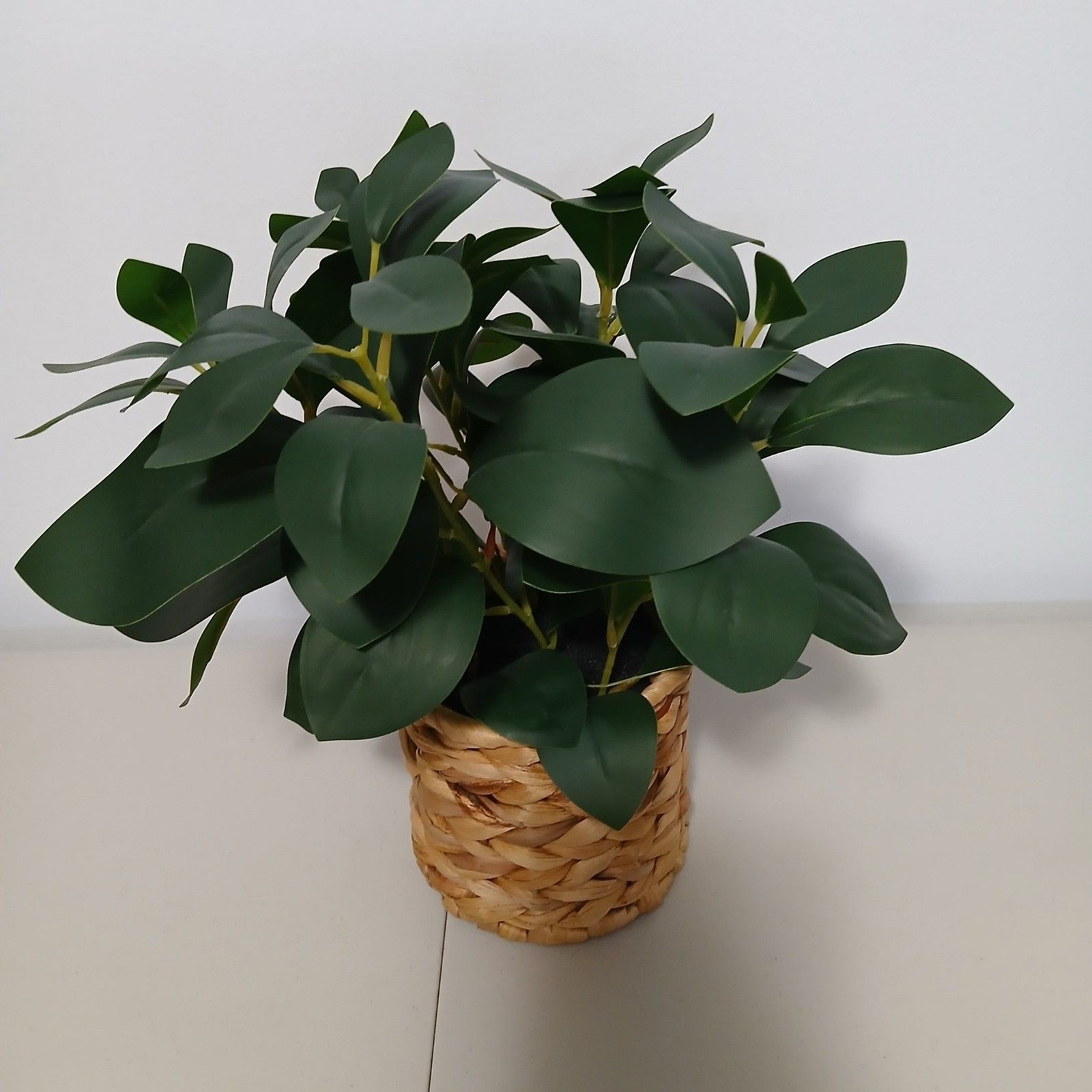 Better Homes & Gardens Natural Brown Boho Decorative Faux Peperomia Plant 12″