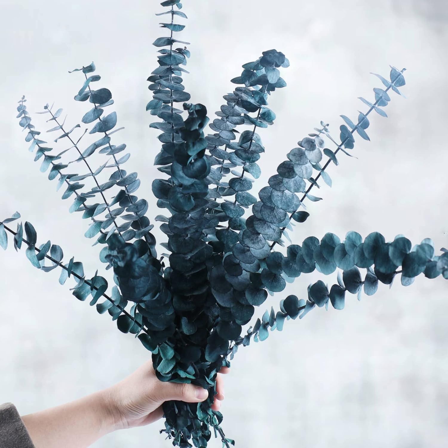 Preserved Dried Eucalyptus Stems Bundle – 12 PCS Blue for Green