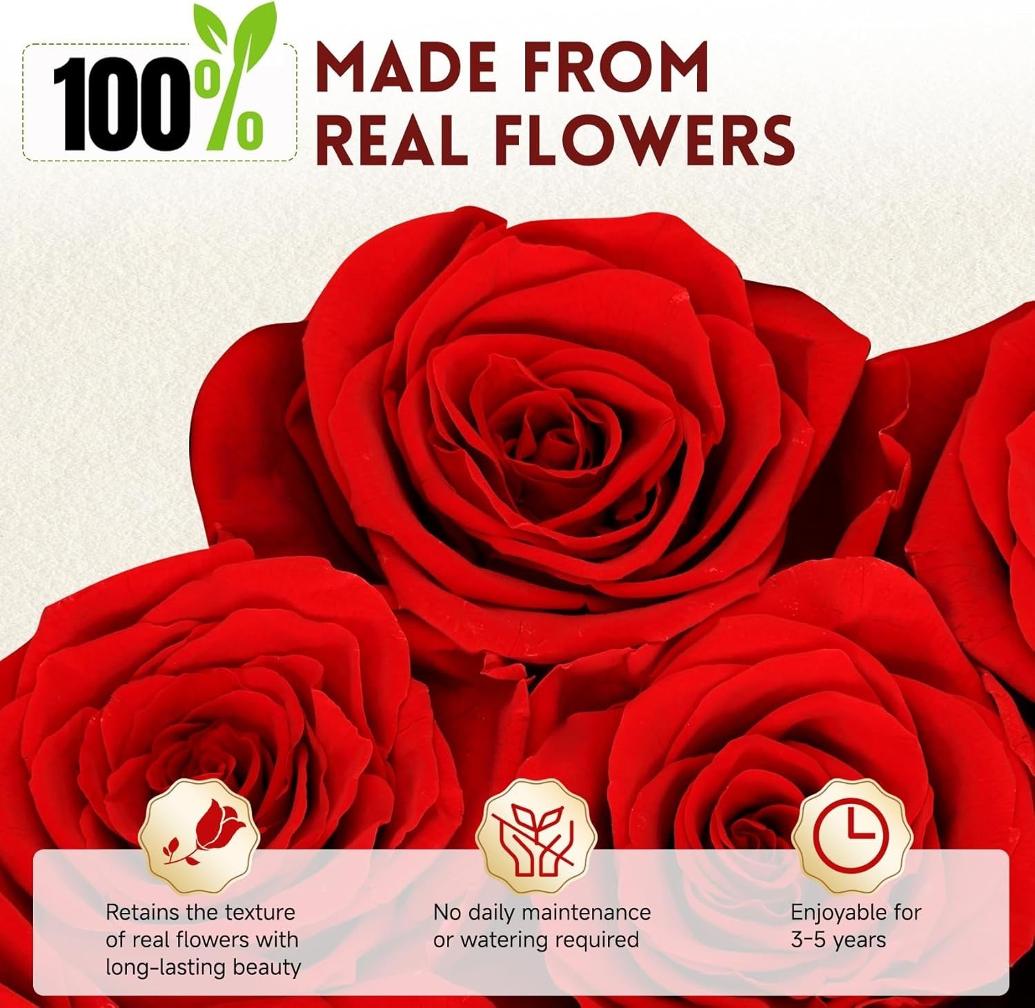 27 Forever Preserved Roses in a Box, Forever Gift for Women, Flowers in a Luxury