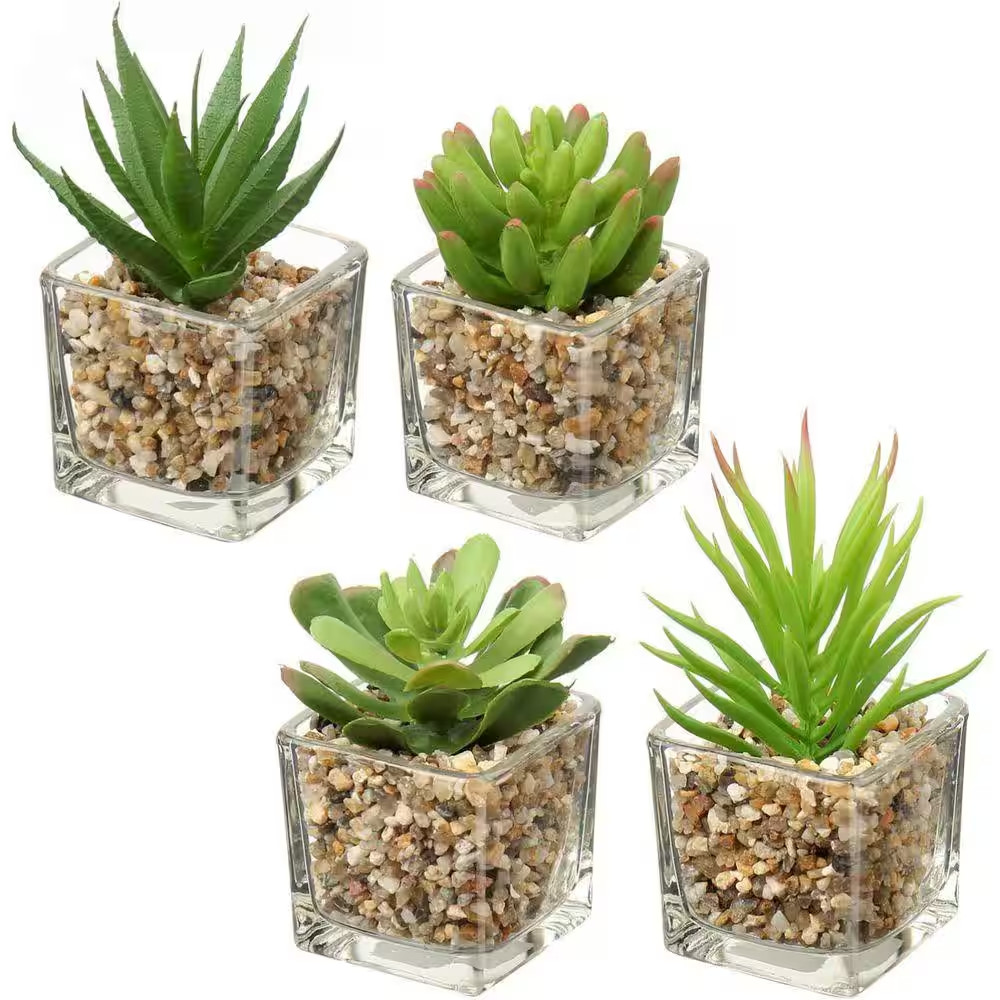 4.13 In. H Green Indoor Succulents Artificial Plant in Clear Glass Pots for Wind