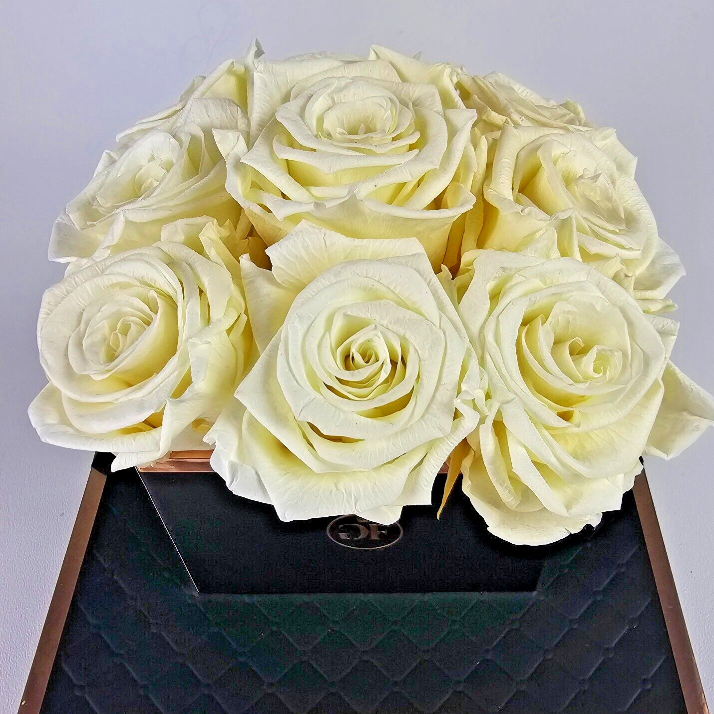 Glam Fleur Preserved 9 White Cream Real Roses in Square Gift Box