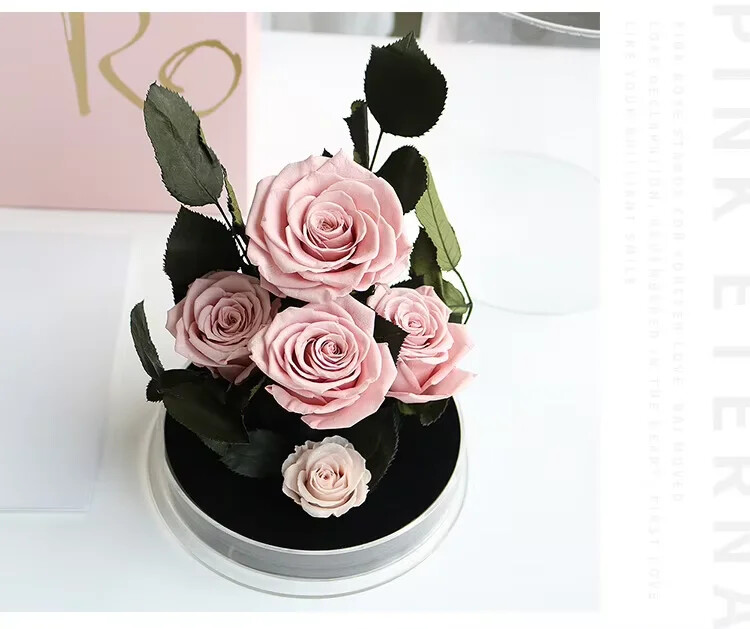 Eternal Red Rose in Secret Garden Acrylic Box – Preserved Flower Gift