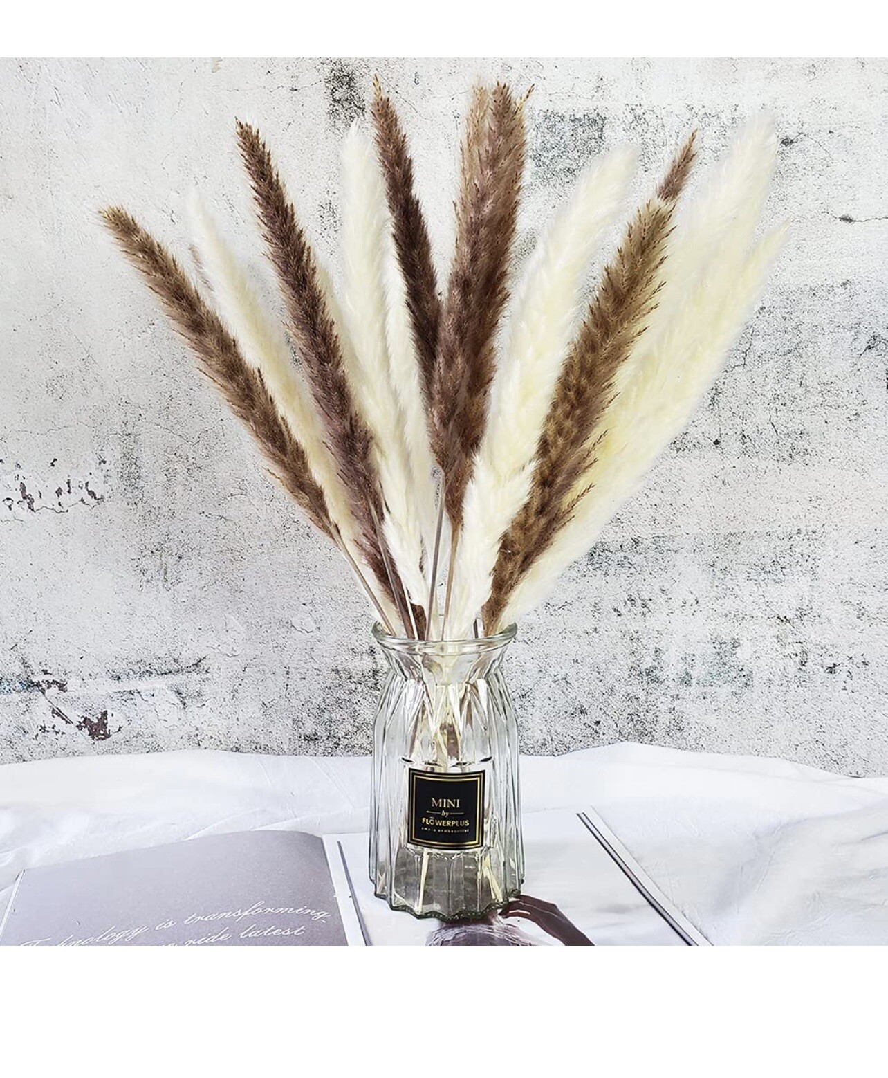 Green Empire 60pcs (15pcs Brown Pampas & 15pcs White Pampas 30pcs Reed Grass)