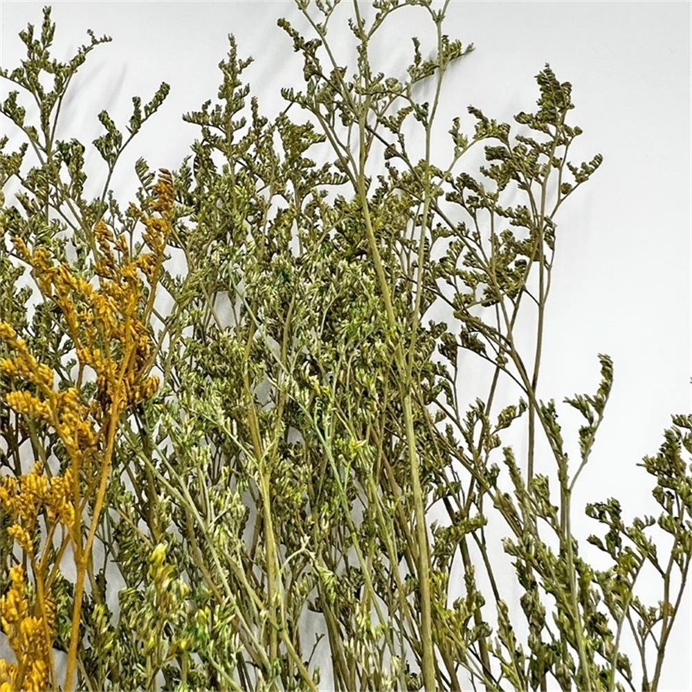 Pemberly Row 10-inch High Real Preserved Mixed Bouquets in Small Size