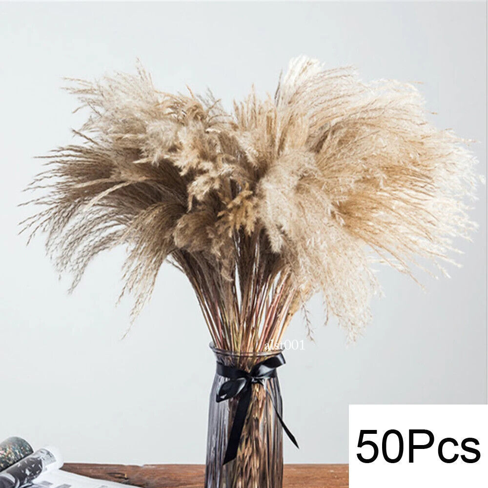 Grass Decor Home Decor Bouquet Natural Fluffy Dried Flowers for Wedding Floral