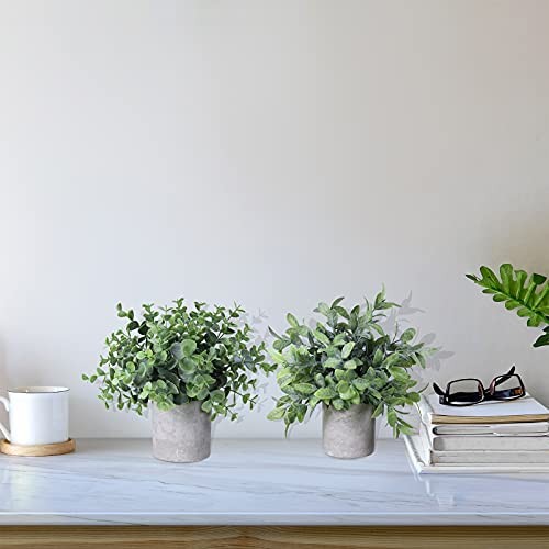Set of 2 Faux Mini Potted Plants Artificial Eucalyptus Boxwood Plants in Pots…