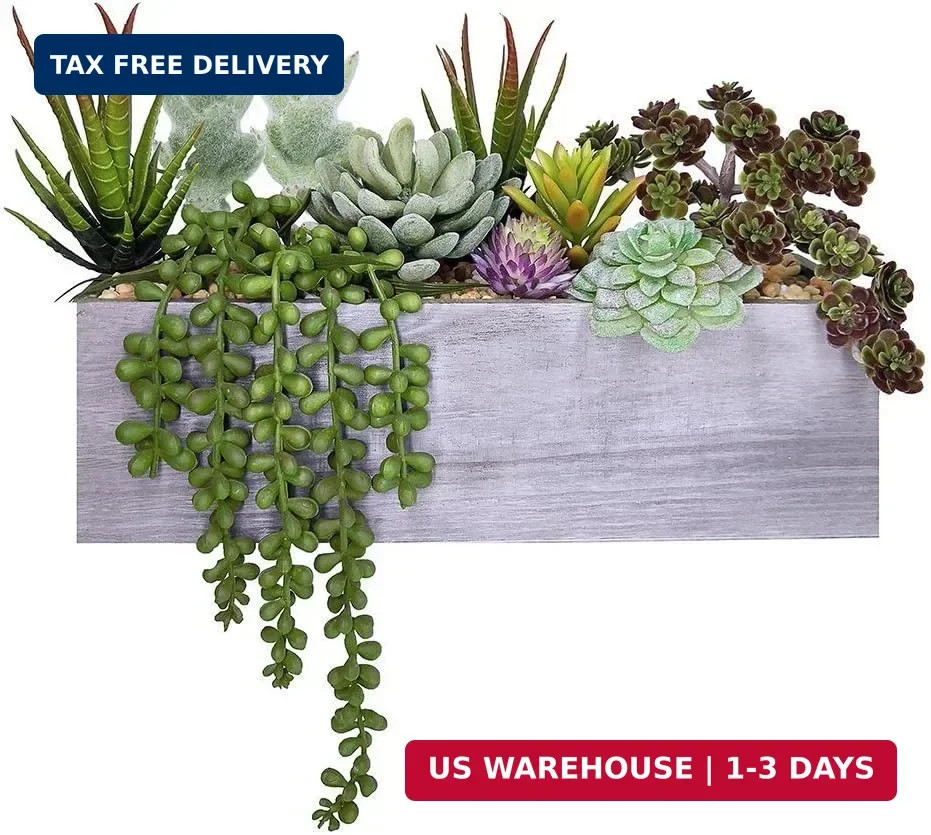 Supla Artificial Potted Succulents Plants Arrangement Fake Succulent Plants in R