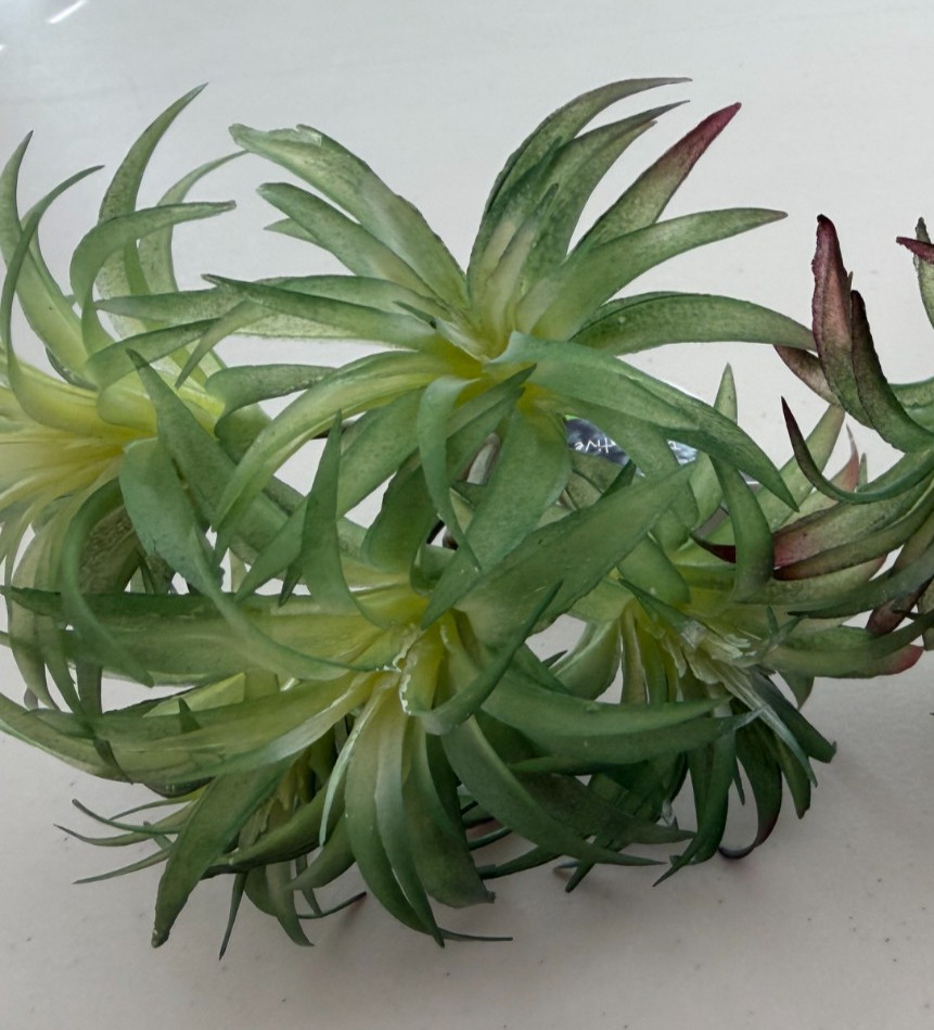 Lot 2 Ashland Faux Tillandsia Succulent Plants tropical picks Cactus (Sh17)