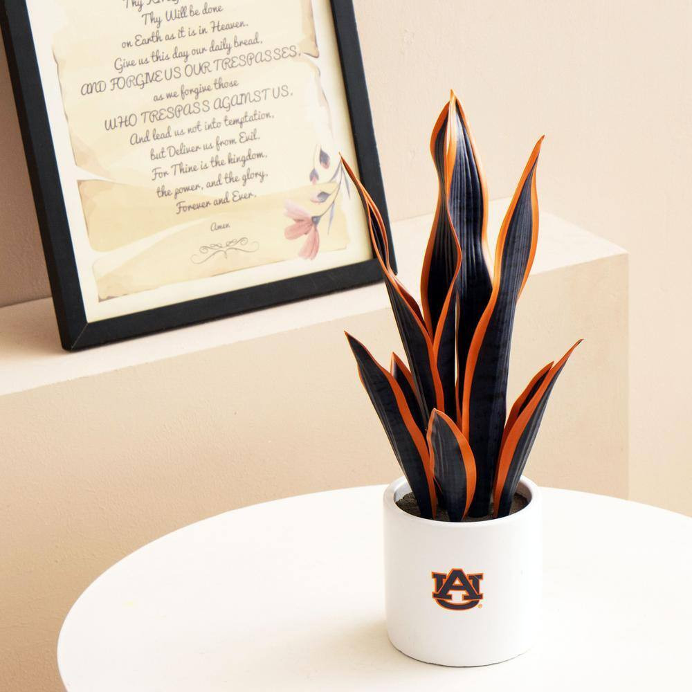 20 In. Auburn Artificial Snake Plant – Auburn Fan Gifts