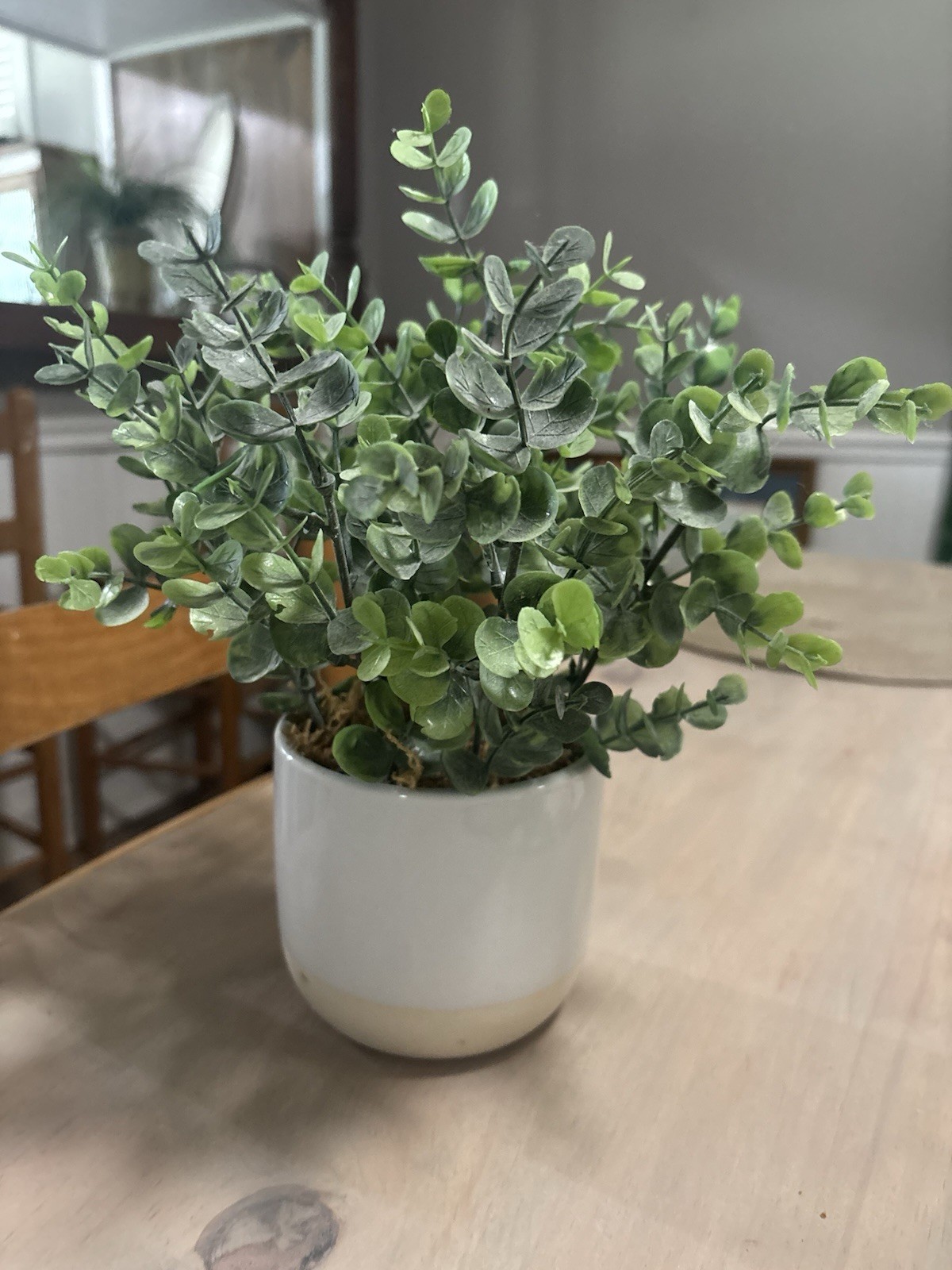 Artificial Eucalyptus Green Potted Plant Arrangement, White & Beige Pot