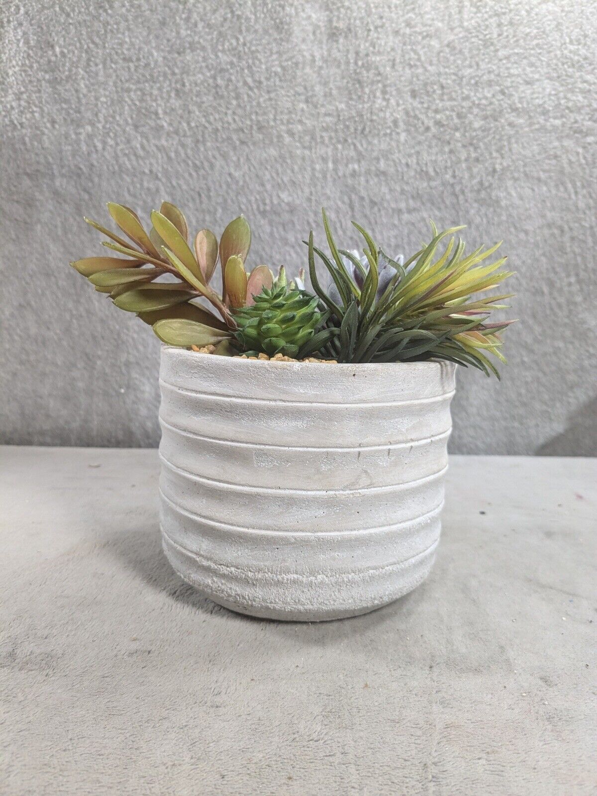 6.5” Vibrant Assorted Artificial Succulent Plants in Rustic Textured Pulp Pot